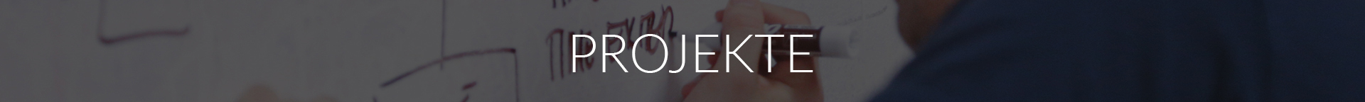 Projektet